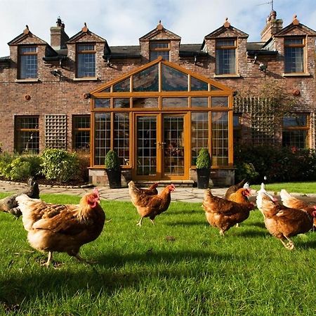 Blackwell House Banbridge Exteriör bild