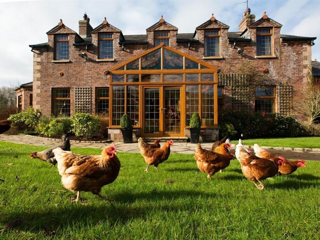 Blackwell House Banbridge Exteriör bild